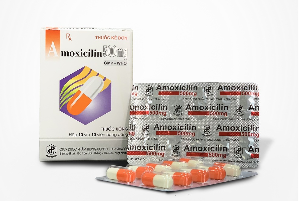 Amoxicillin 500mg Pharbaco (hộp 10 vỉ x 10 viên)