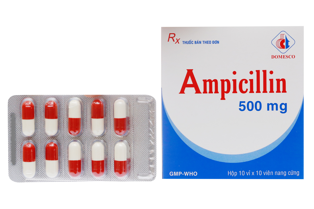 Ampicillin 500mg Domesco (10 vỉ x 10 viên)
