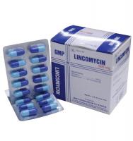 Lincomycin 500mg Nghệ An